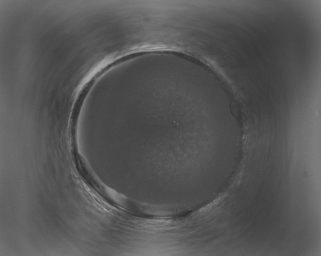 X0000078281173200611031200