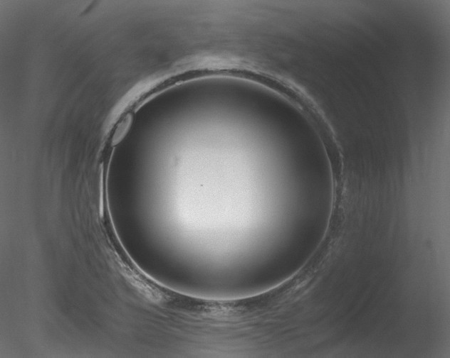 X0000078281175200611031200