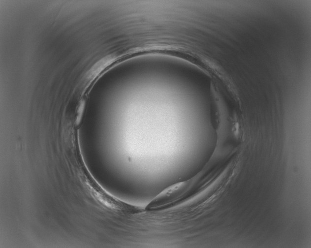 X0000078281177200611031200