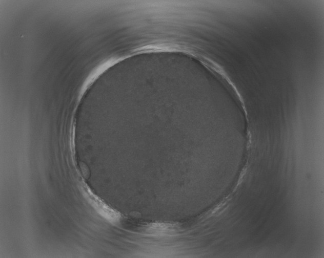 X0000078281179200611031200