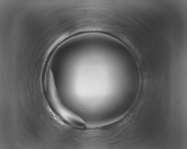 X0000078281181200611031200