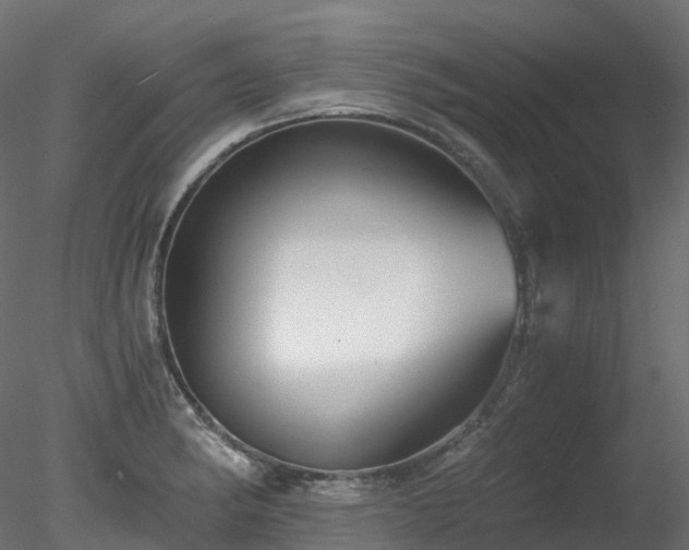 X0000078281182200611031200