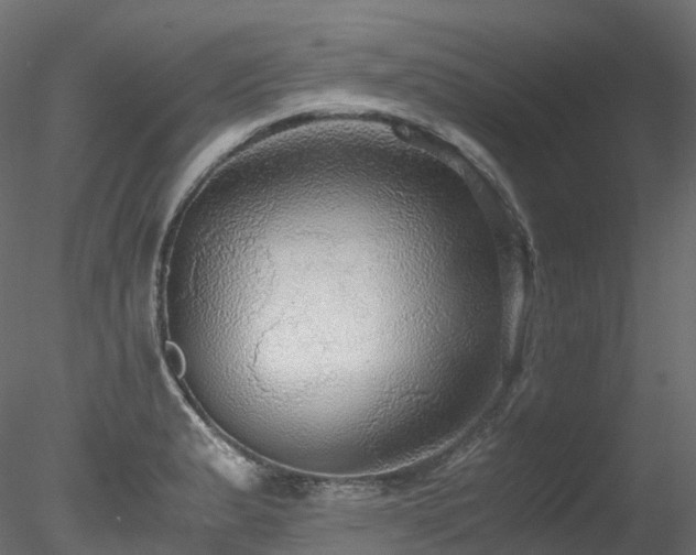 X0000078281183200611031200