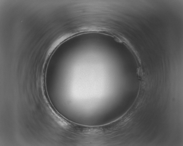 X0000078281187200611031200