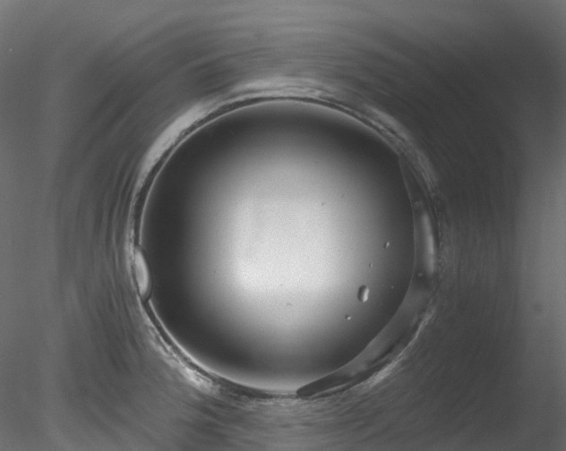 X0000078281188200611031200