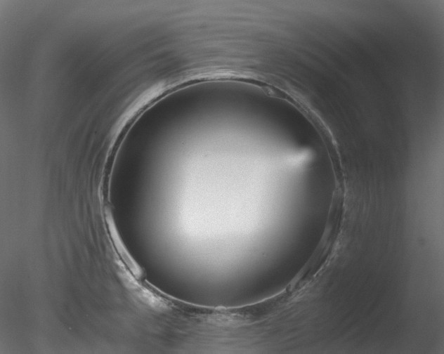 X0000078281189200611031200