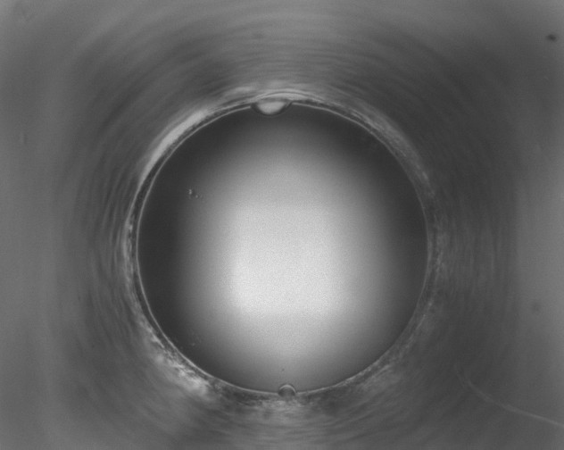 X0000078281190200611031200