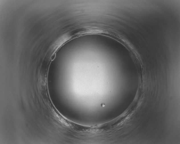 X0000078281193200611031200