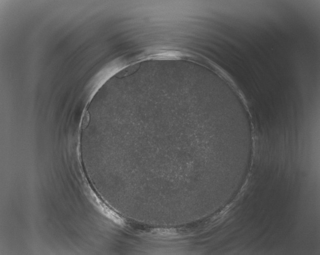 X0000078281194200611031200