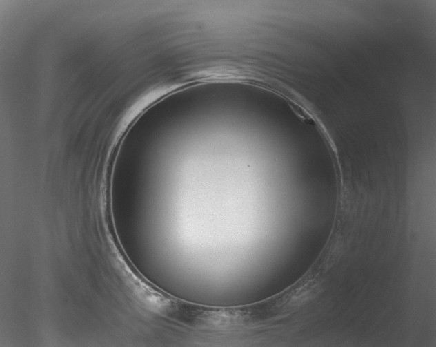 X0000078281195200611031200