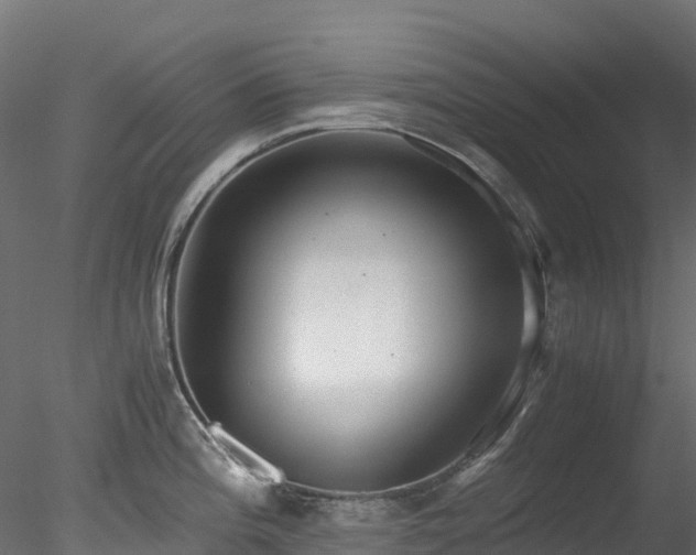 X0000078281196200611031200