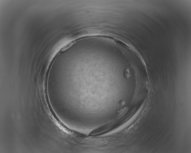 X0000078281197200611031200