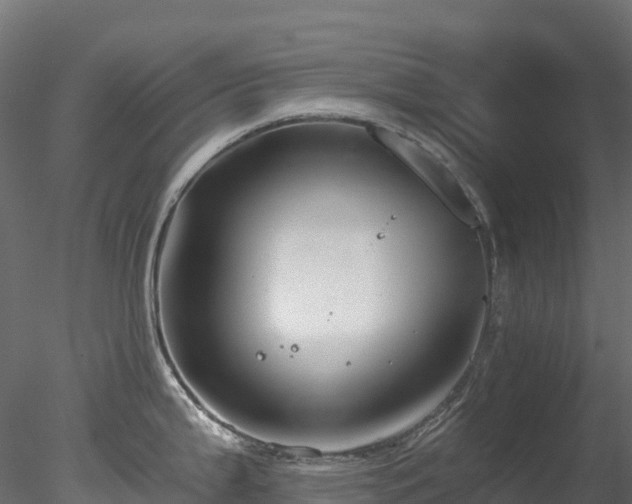 X0000078281199200611031200