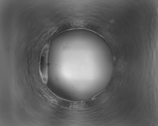 X0000078281201200611031159