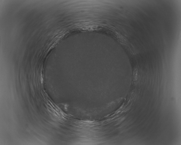 X0000078281202200611031159