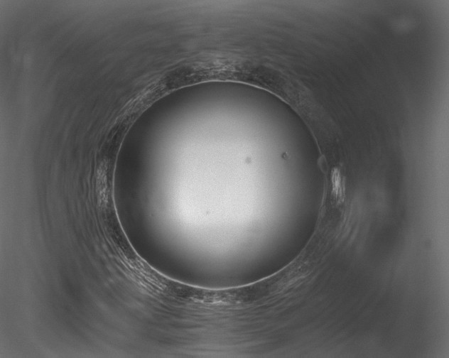 X0000078281203200611031159