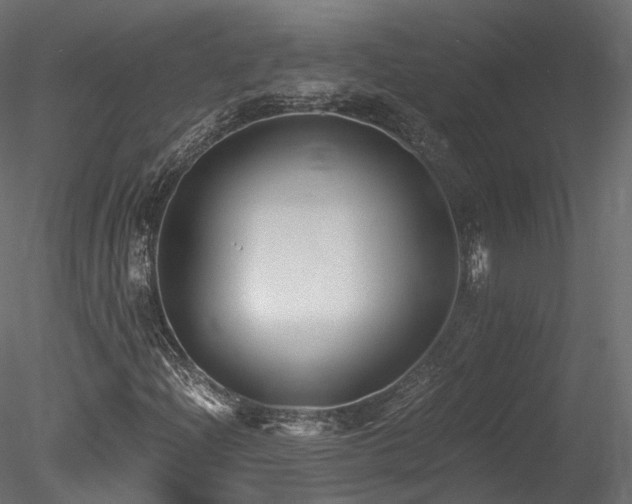 X0000078281204200611031159