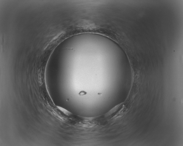 X0000078281205200611031159