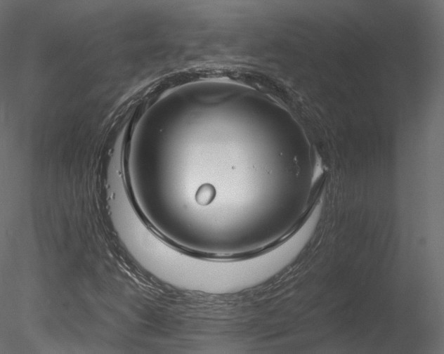 X0000078281206200611031159