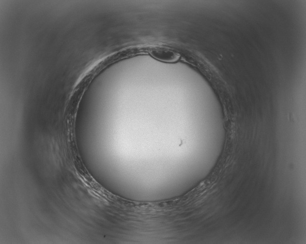 X0000078281208200611031159