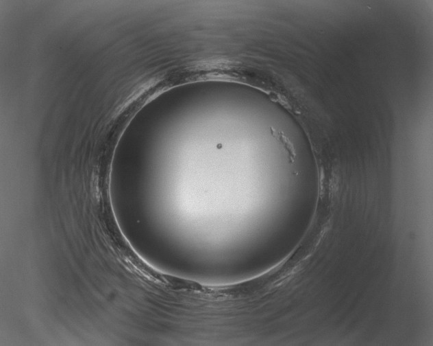 X0000078281209200611031159