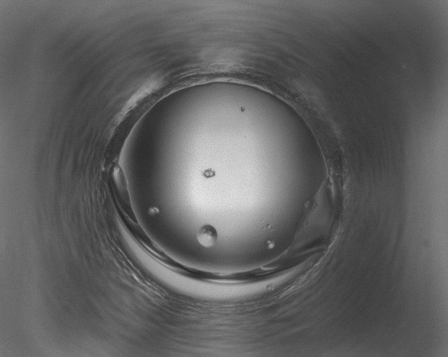 X0000078281210200611031159