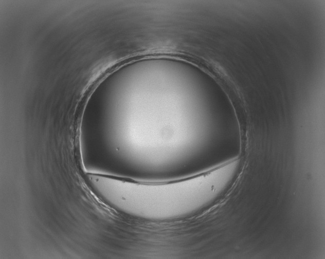 X0000078281212200611031159