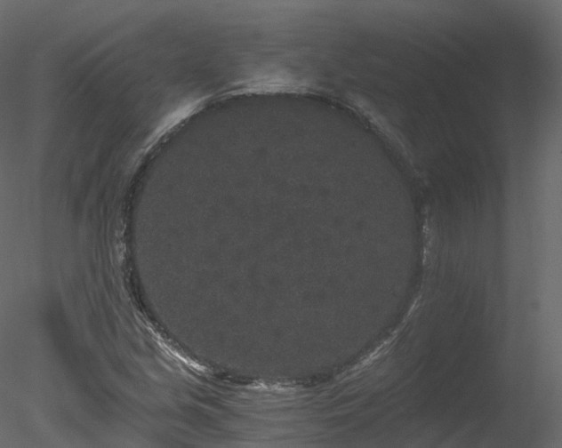 X0000078281213200611031159