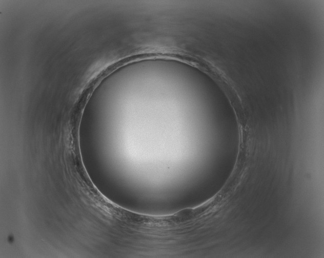 X0000078281215200611031159