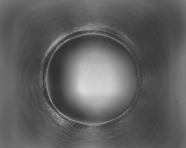 X0000078281216200611031159