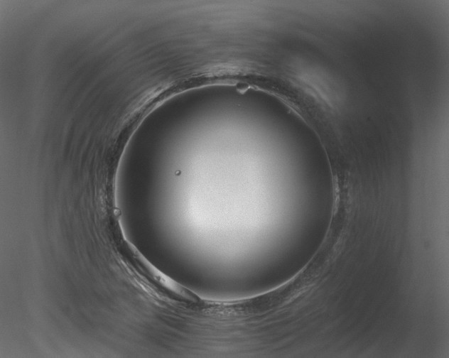 X0000078281217200611031159