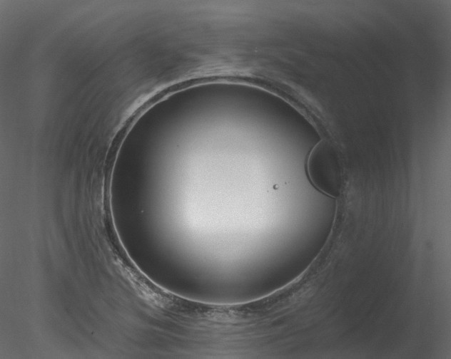 X0000078281220200611031200