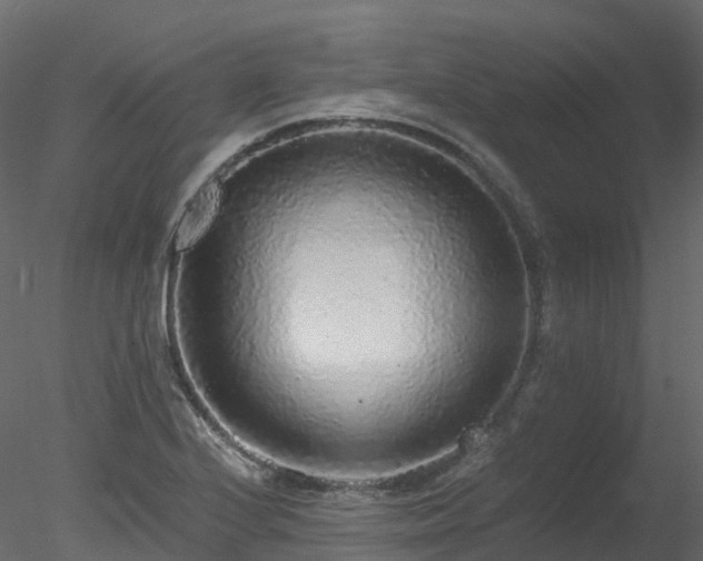 X0000078281224200611031200