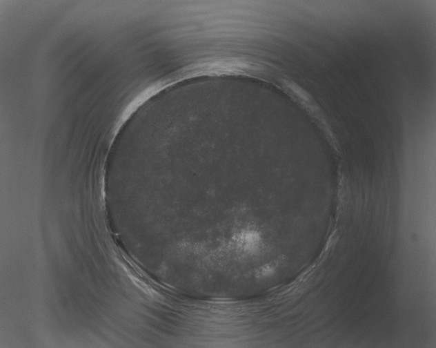 X0000078281226200611031200