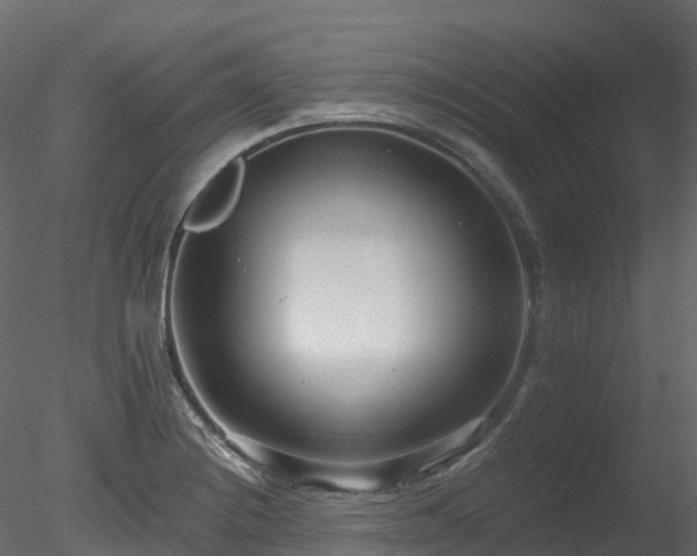 X0000078281228200611031200