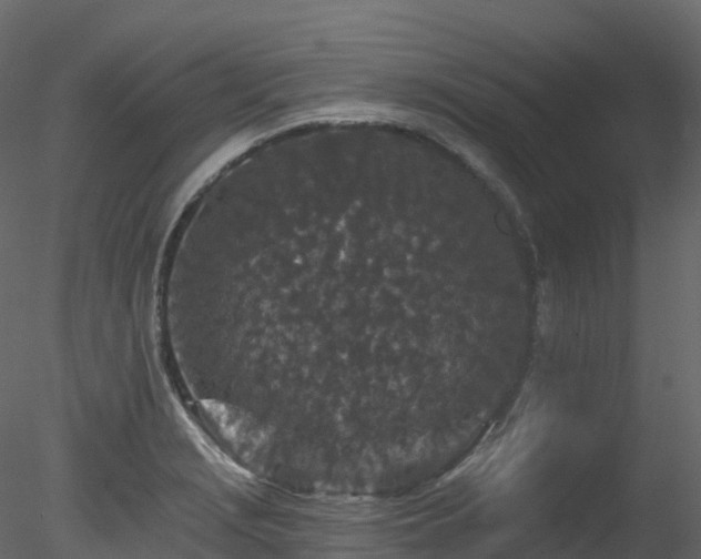 X0000078281229200611031200