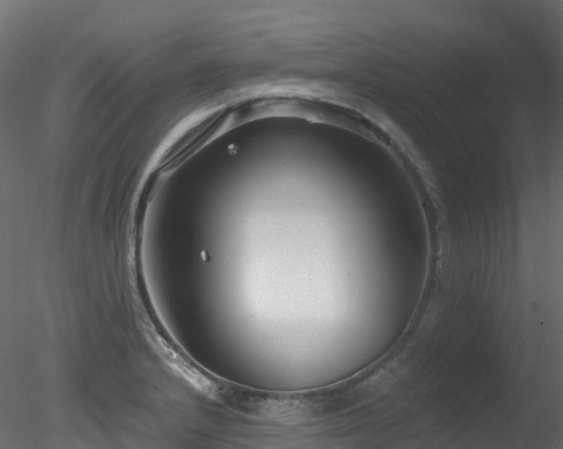 X0000078281232200611031200