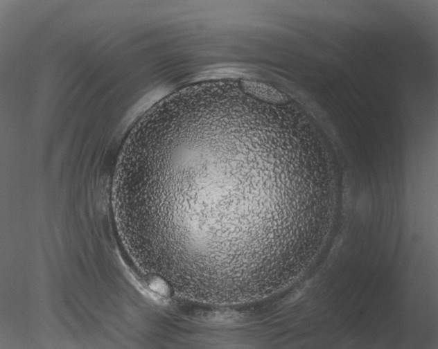 X0000078281233200611031200