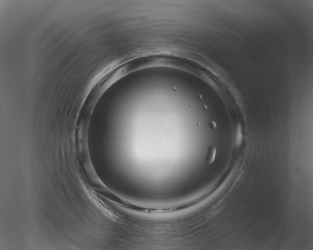 X0000078281234200611031200