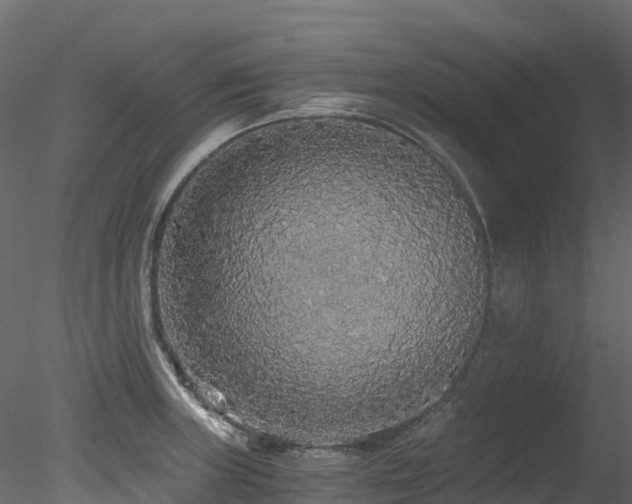 X0000078281235200611031200