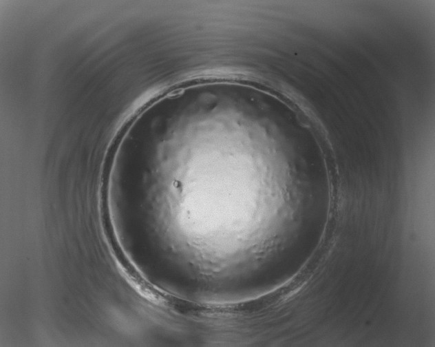 X0000078281237200611031200