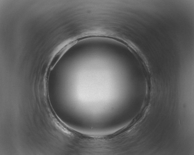 X0000078281238200611031200