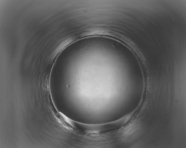 X0000078281241200611031200