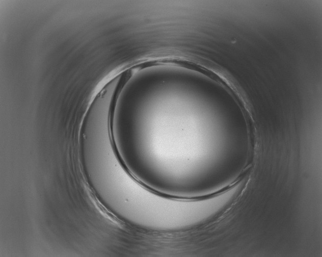 X0000078281242200611031200