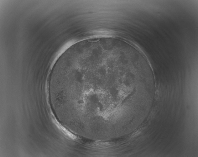 X0000078281243200611031200