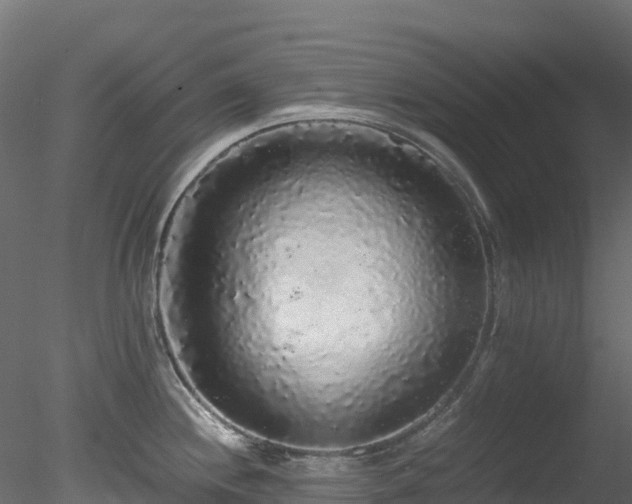 X0000078281244200611031200