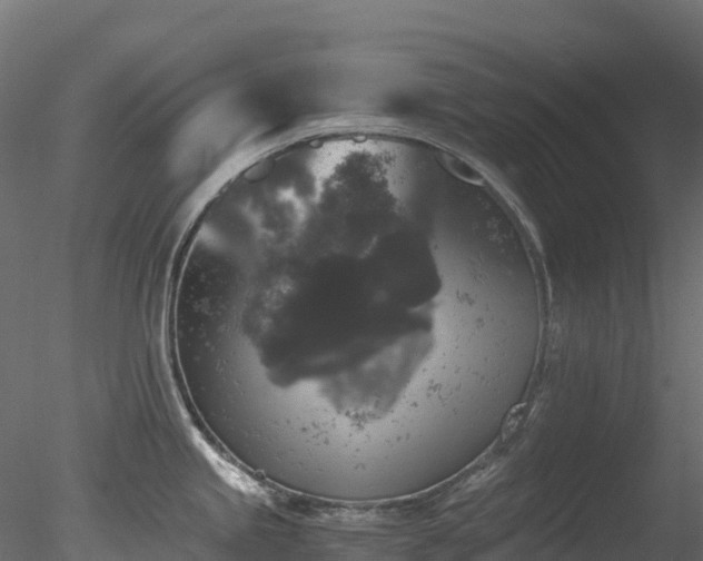 X0000078281245200611031200