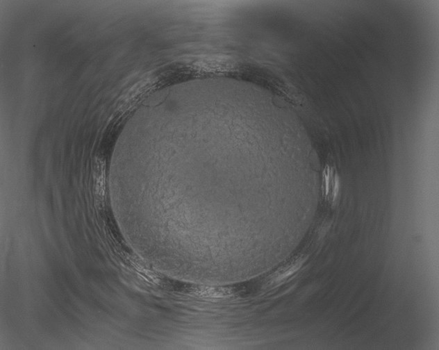 X0000078281251200611031159