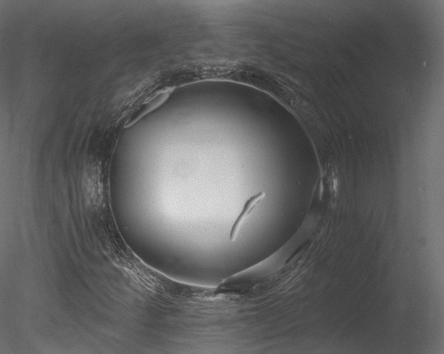 X0000078281252200611031159