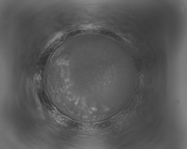 X0000078281254200611031159